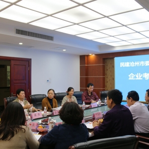 滄州民建考察團、南寧市民建調(diào)研組——行來我集團參觀考察 ... ...