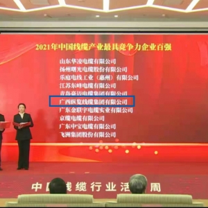 喜報！縱覽線纜集團榮膺 “中國線纜產業(yè)最具競爭力企業(yè)100強” ...