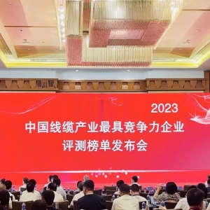 中國線纜產(chǎn)業(yè)最具競爭力企業(yè)100強(qiáng)發(fā)布：縱覽線纜連續(xù)五年上榜！